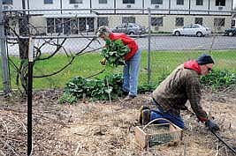 Master Gardeners volunteer work adds up to healthy communities