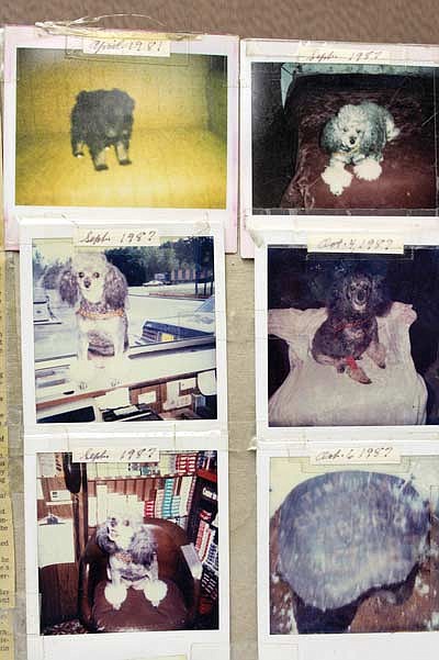 Looking back: Pets add homey touch at work