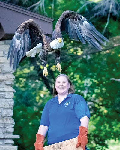 Northwoods Wildlife Center releases adult bald eagle 