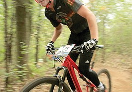 Lead photo