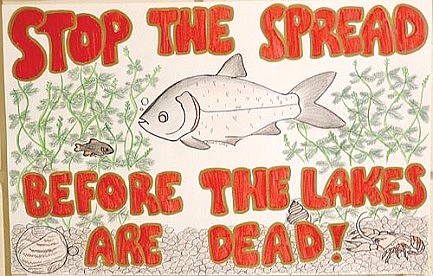Invasive Species Poster Contest now open