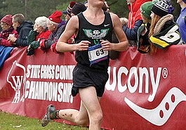 Lead photo