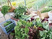 Food pantry looks to social media for support 