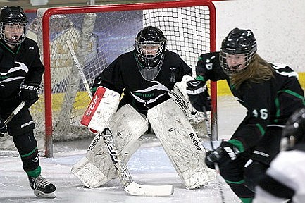 Team preview: RHS/Antigo girls' hockey