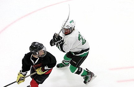 Youth Hockey Scoreboard