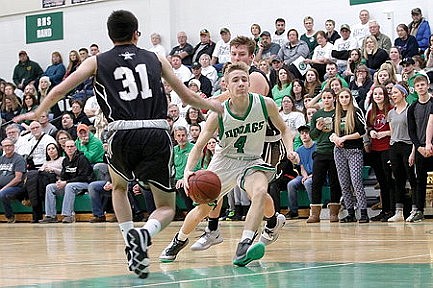 T-Birds baffle Hodag hoops again