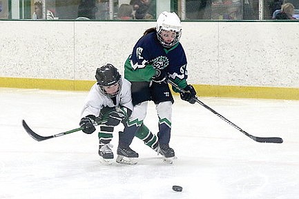 Youth hockey roundup