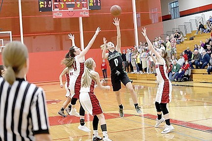 A dogged opponent