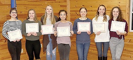 Seven RHS gymnasts earn academic all-state honors