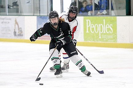 Team review: Rhinelander/Antigo girls' hockey