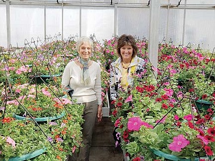 Downtown flower basket project continues