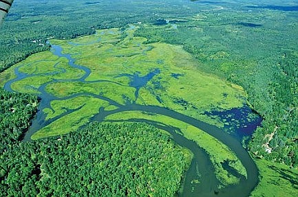 Munninghoff Marsh wild ricing  demonstration set for Sept. 8