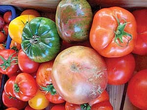 Tomatoes galore at the Hodag Farmers Market