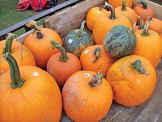 Three more weekends left in farmers market season