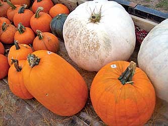 Last chance to visit the Hodag Farmers Market