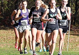 Lead photo