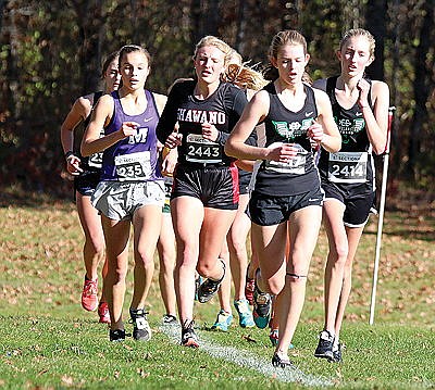 Hodag harries finish mid-pack at sectionals