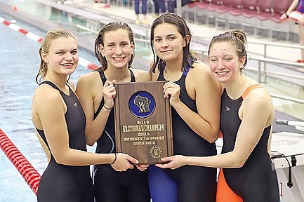 Hodag swimmers seek next step at state