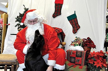 Whisker Wonderland to raise funds for Hope Lodge