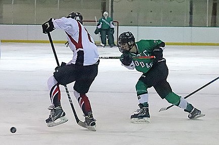 Hodag hockey uses big third period to beat Medford 7-3