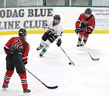 Girls' hockey: Edge races past Raiders 8-1