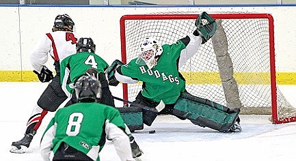 Two late goals cost Hodag hockey East/Merrill tourney