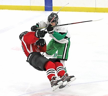 Medford beats RHS 2-0, relegates Hodags to 7th place game of GNC hockey tourney 
