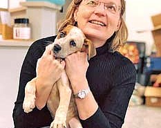 Lead photo