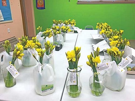 Relay for Life of the Northwoods daffodil sale benefits cancer patients and their families