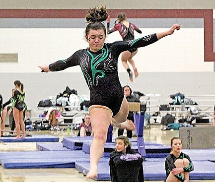 Hodags take 4th at gymnastics sectionals