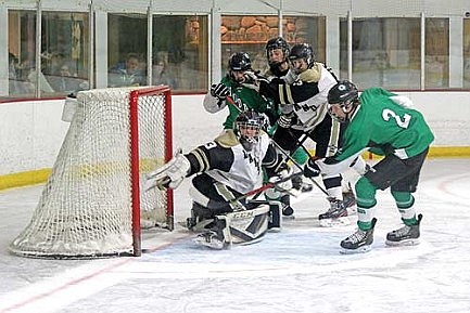 Team review: RHS boys' hockey: Hodags finish strong, make playoff push