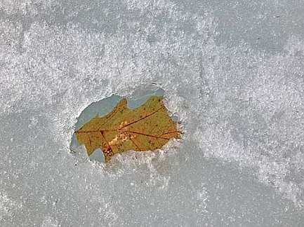 Photo detail