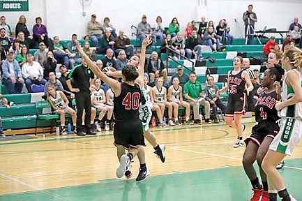 Team Review: RHS girls' basketball: Lady Hodags do one better in remarkable year