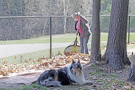 Spring cleanup
