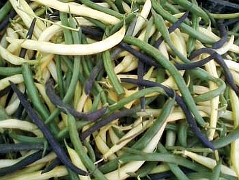 Hodag Farmers Market draws an early crowd