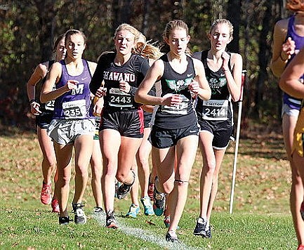Team preview: RHS cross country