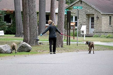 Divided attention 
