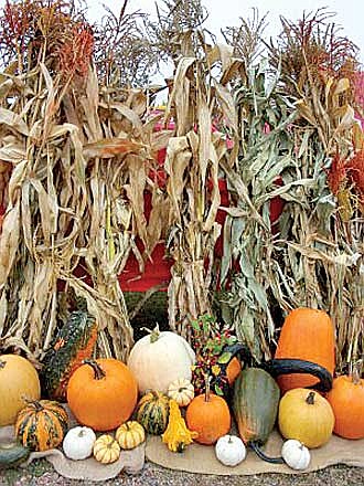 Hodag Farmers Market report:&#8200;A feast for the eyes