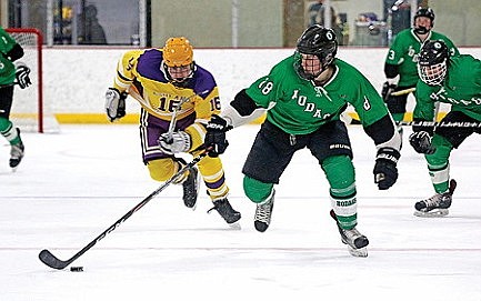 Team preview: RHS boys' hockey