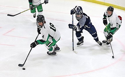 Hodag hockey doubles up Waupaca