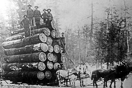 Rhinelander Revisited:&#8200;Economic and environmental implications of the Northwoods logging industry