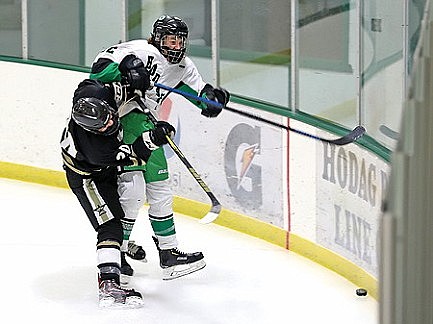 Hodag hockey's GNC hopes take a blow with 5-2 loss to Lakeland