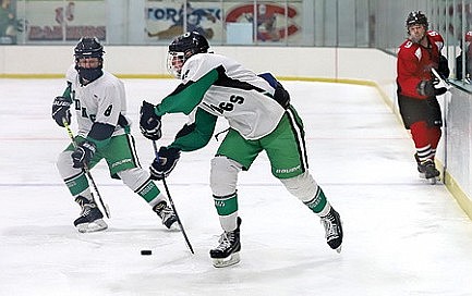 Hodag hockey stays hot, blasts Medford 13-1