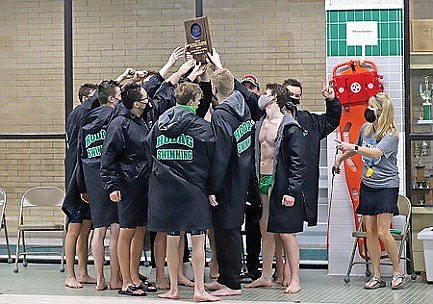 Team review: RHS boys' swimming