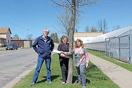 Arbor day donation