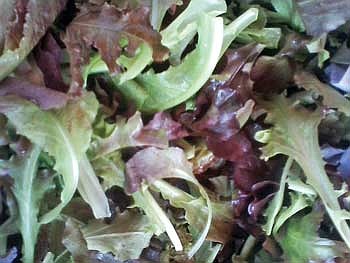Farmers Market Report:&#8200;Vendors impressed with customer support