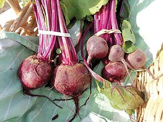 Hodag Farmers' Market report:&#8200;The secret of beet greens