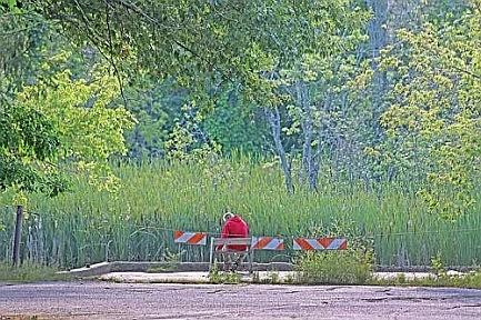 Serenity in Solitude