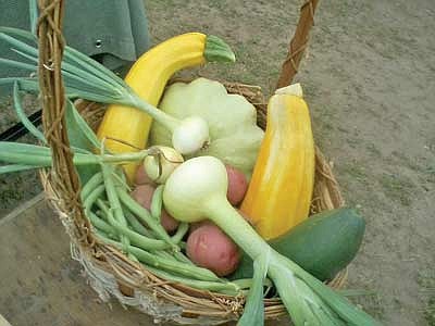 Hodag Farmers' Market report:&#8200;The abundance of August