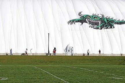 Watchful Hodag